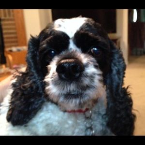 Meet your Posher, Mary